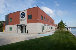 Biology Student and Professor Collaborate on Paper Accepted for Publication